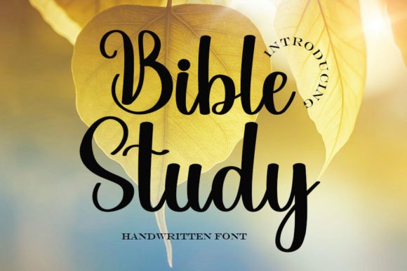 Elevate Your Designs with the Bible Study Font