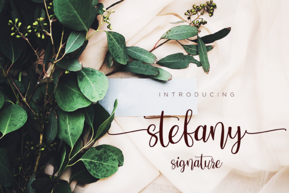 Stefany Signature: Elevate Your Design with Timeless Elegance